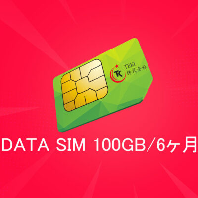 データSIM 100GB/6ヶ月