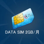 データSIM12ヶ月払い 2GB/月
