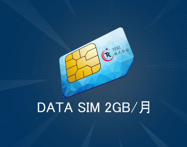 データSIM12ヶ月払い 2GB/月 – TEKi 株式会社